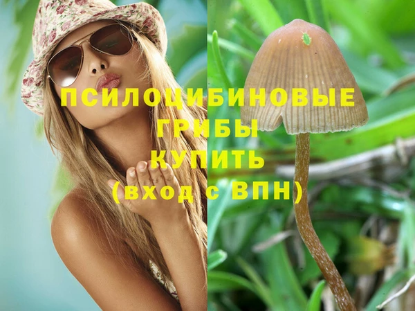 трава Аркадак