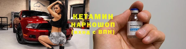 гидра Арсеньев