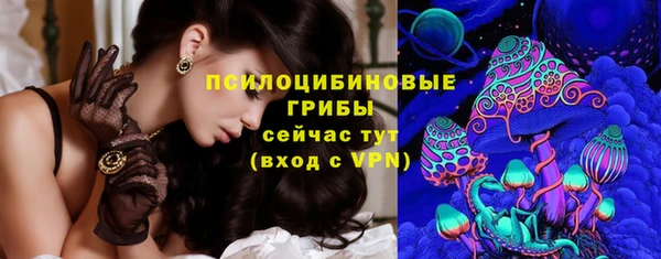 трава Аркадак