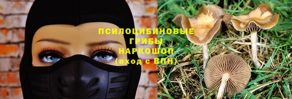 трава Аркадак
