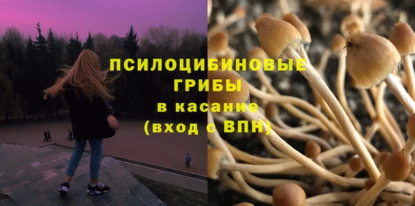 трава Аркадак