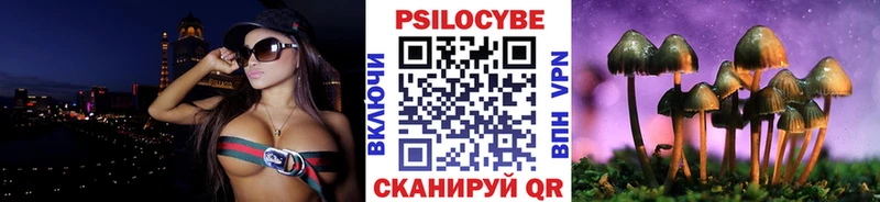 KRAKEN Аркадак Галлюциногенные грибы GOLDEN TEACHER